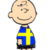 Användarvisningsbild