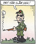 Användarvisningsbild